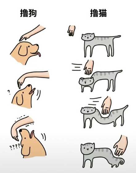 万丈高楼平地起 小丑竟是你自己 囧图 洗洗烧杯!