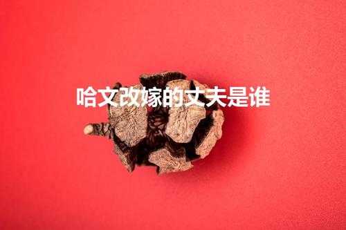 哈文改嫁的丈夫是谁(哈文的现任老公是谁)