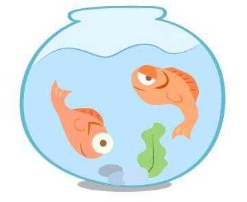 脑子不正常的星座(就算被卖了，还傻呵呵笑的三大星座)