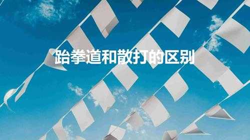 跆拳道和散打的区别(跆拳道和散打哪个适合小孩子)