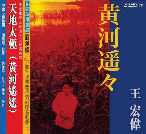 王宏伟.1994-天地太极(新世纪K2H限量版)【JVC】【WAV+CUE】