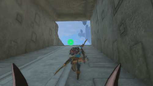 《王国之泪》林克头掉了!林克:真叫人摸不到头脑