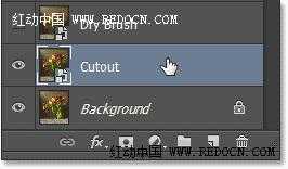 photoshop利用滤镜及图层混合把郁金香图片转为水彩画效果