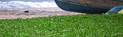 绿色风景照片PS后期系统全面的修图知识分享